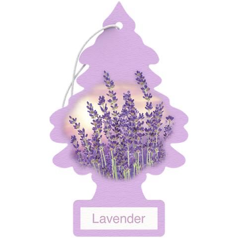 LITTLE TREE AIR FRESHNER LAVENDER 24ct