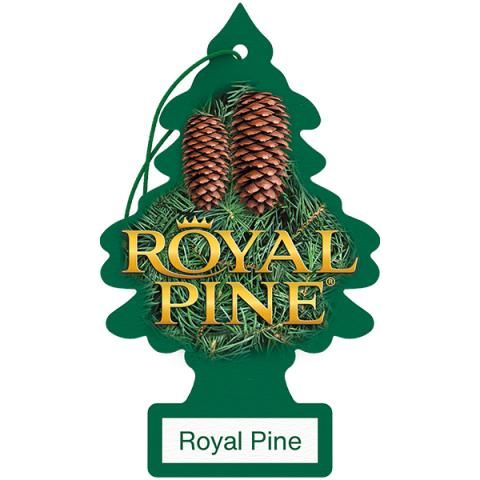 LITTLE TREE CAR AIR FRESHENER ROYAL PINE 24CT