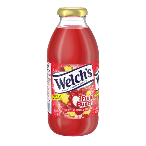 WELCH'S FRUIT PUNCH JUICE 16OZ/12CT